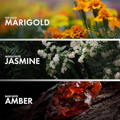 JASMINE AMBERY Eau de Parfum 50ml