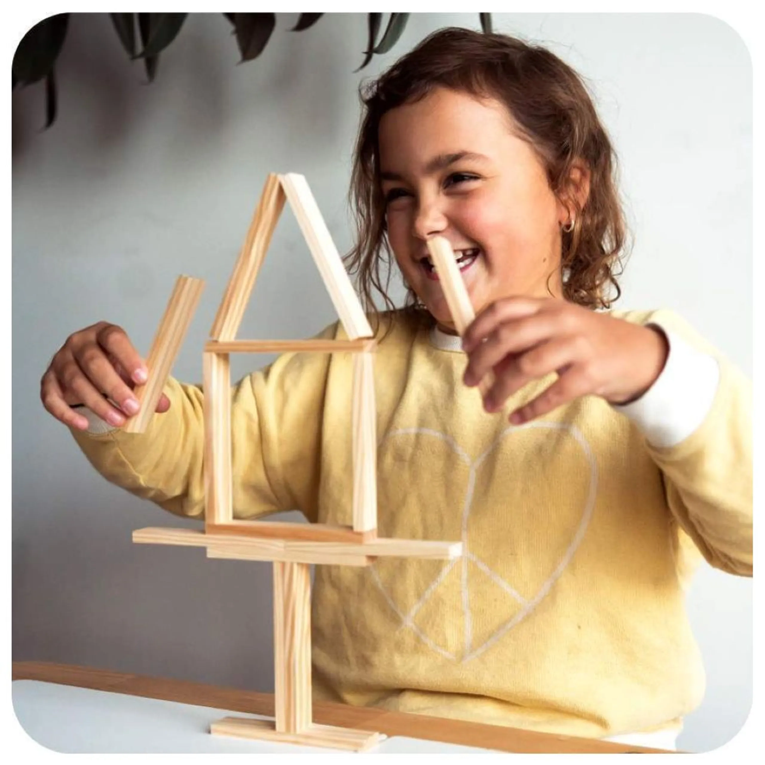 Challenge - Wooden Plank Game