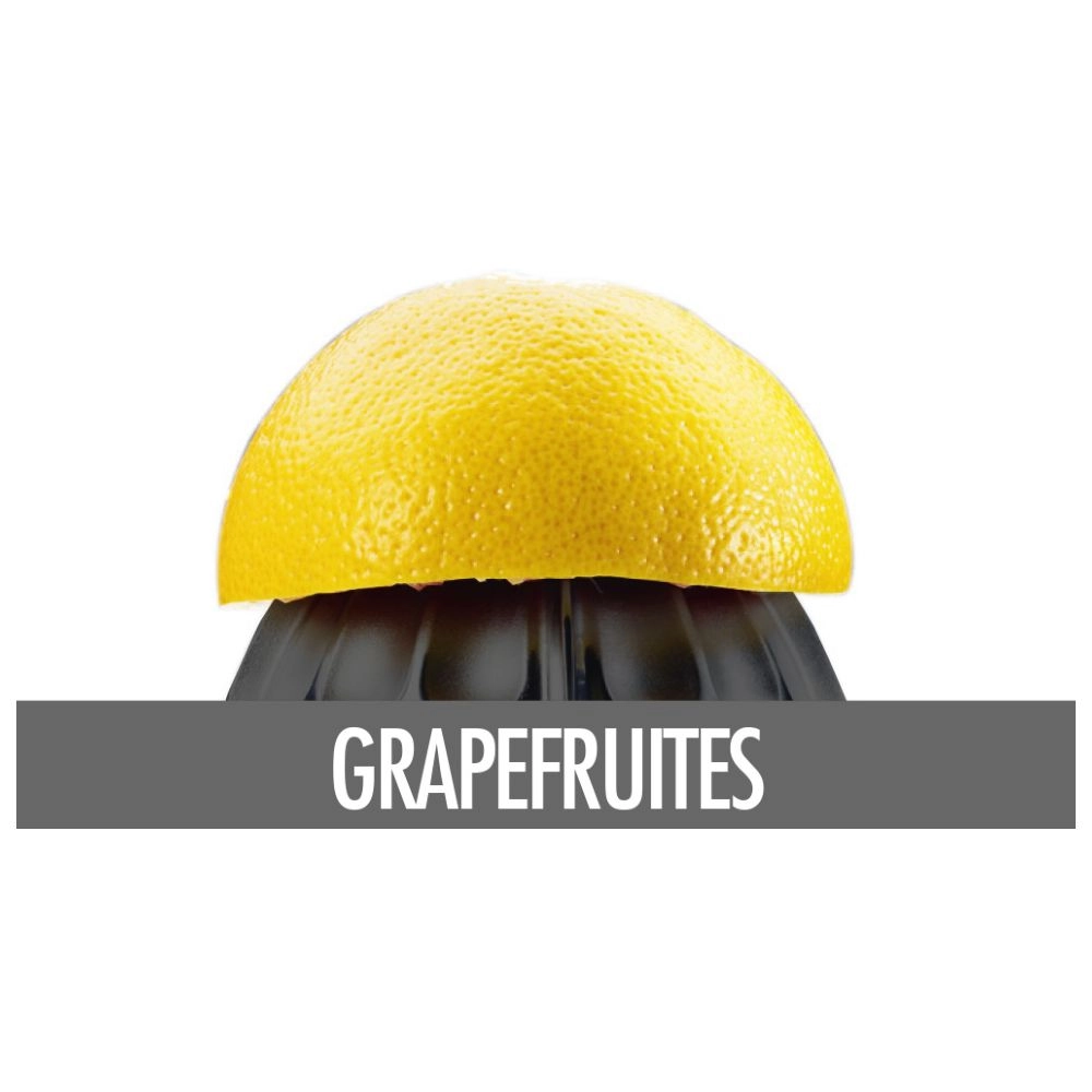 Home Culture Citrus Juicer - Automatic start-up 2 reaming cones