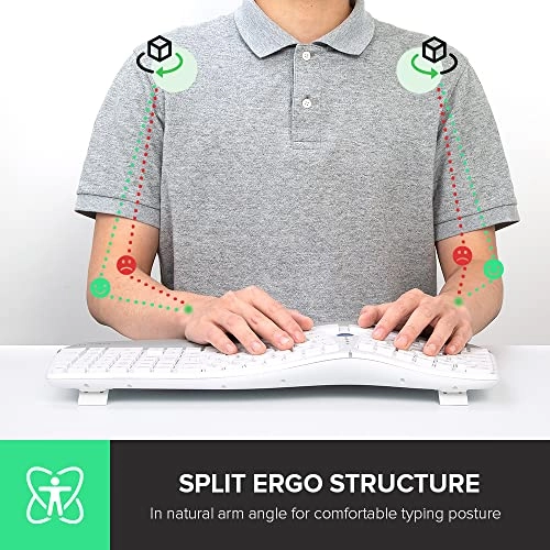 GM901D - US Wireless