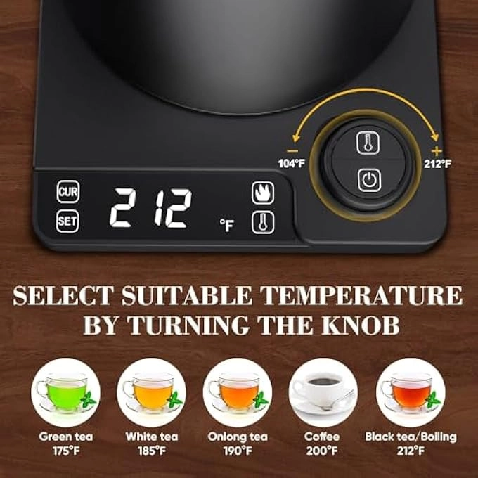Gooseneck Temperature Control Electric Kettle