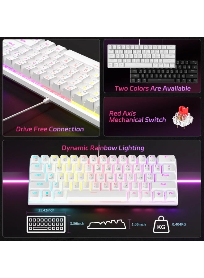 BD61 + M8 - EN/AR Wired/Wireless