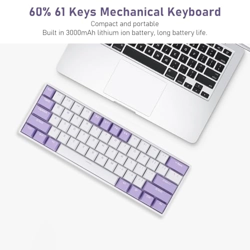 61 Key Mechanical Keyboard - Wired/Wireless