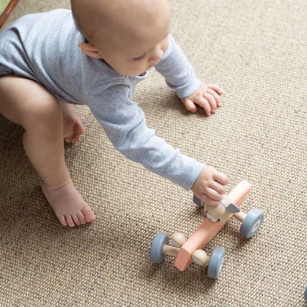 Bunny Racing Car - Wooden Vintage Pastel Rose