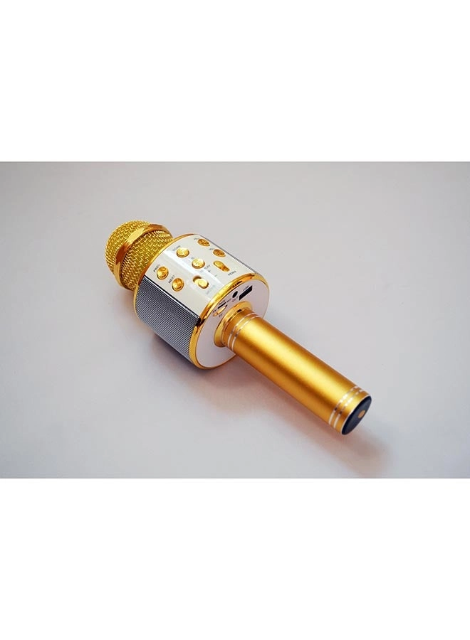 XDY37810 Wireless Microphone