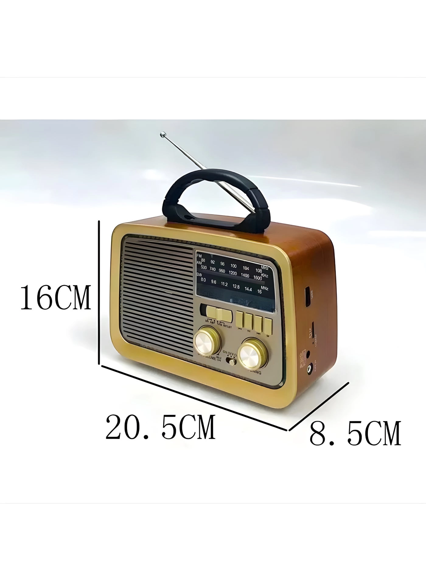 Bluetooth Radio Speaker - FM