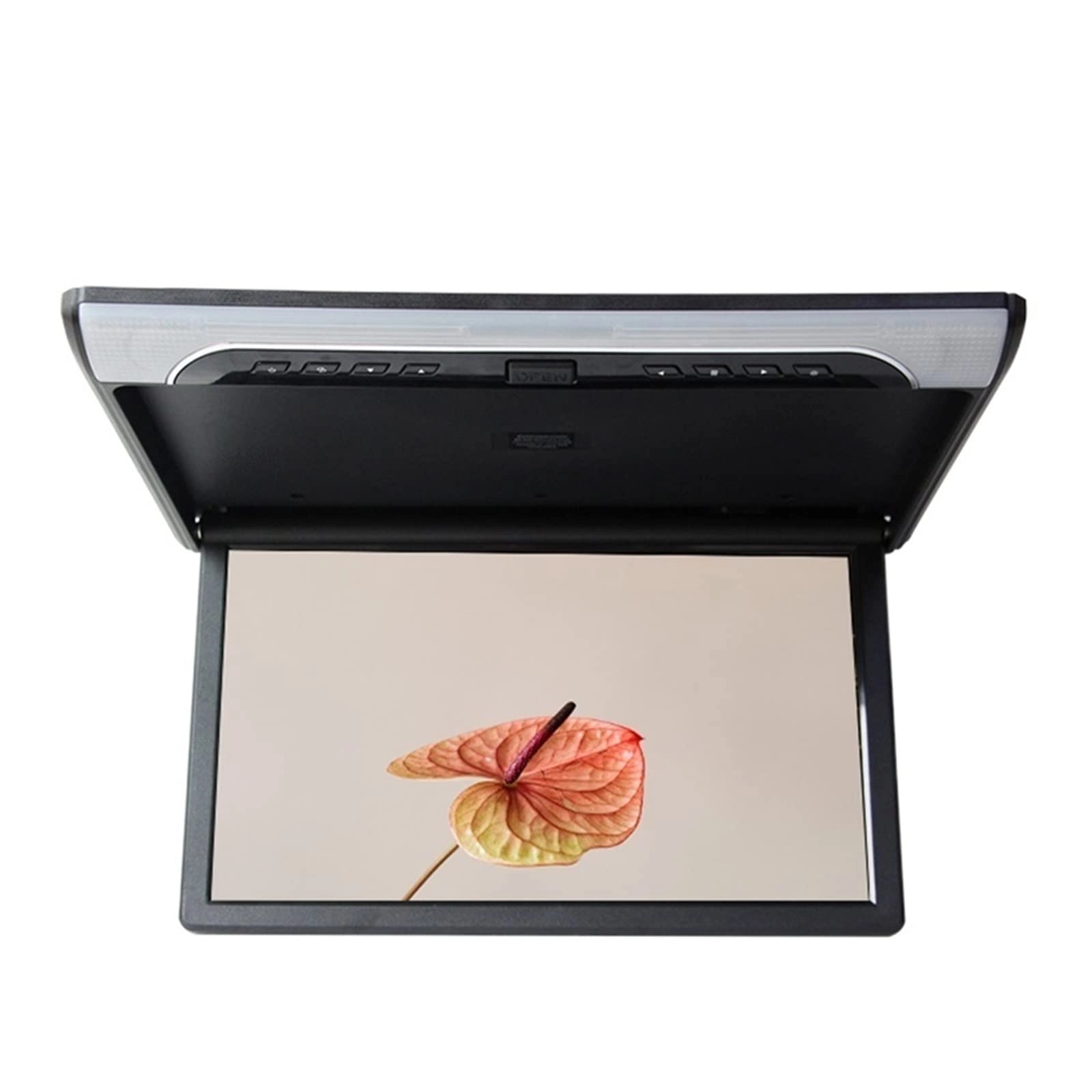 Car Ceiling Display - 19 Inch