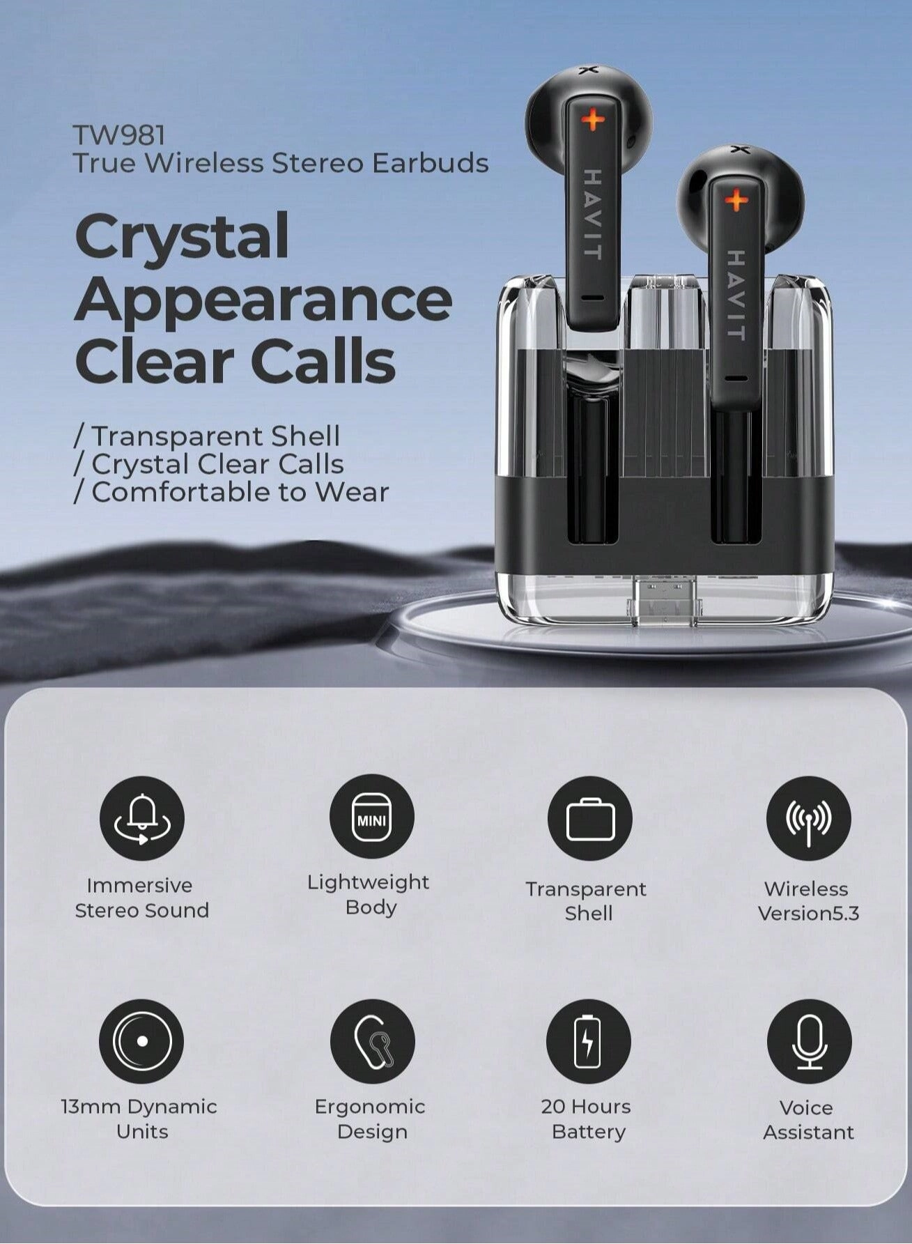 TW981 Wireless Earbud