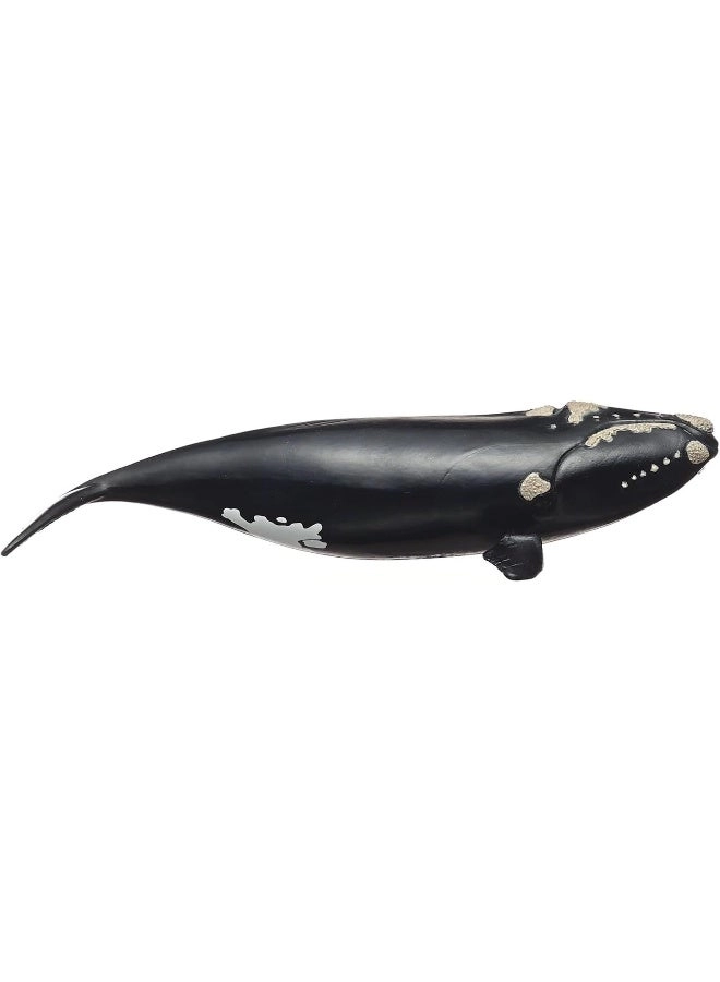 schleich Wild Life - North Atlantic Right Whale (4059433762241)