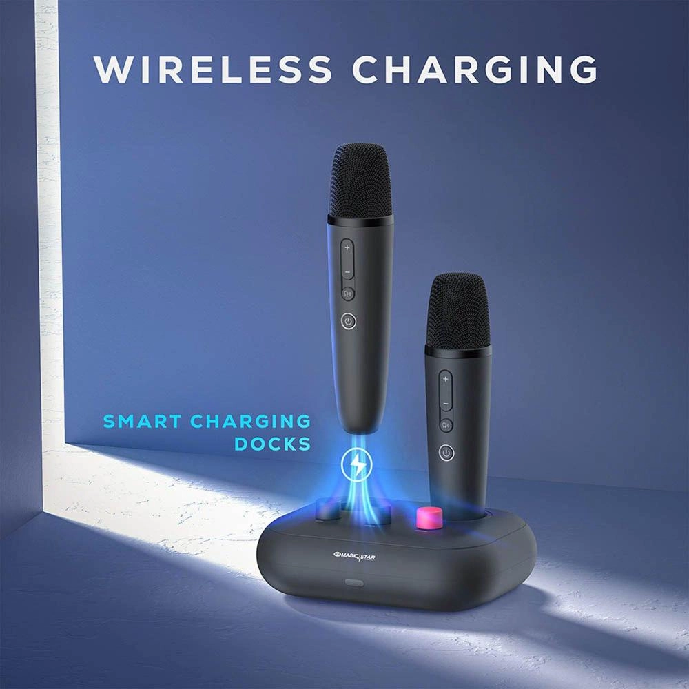 D’MAESTRO A-15 - 2 mics 1TB