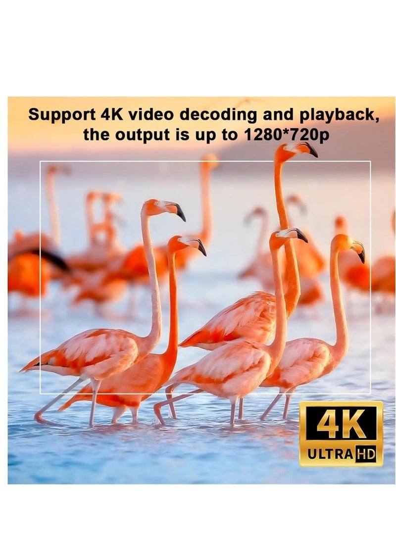 V2COM 200 ANSI lumens 1280 * 720P