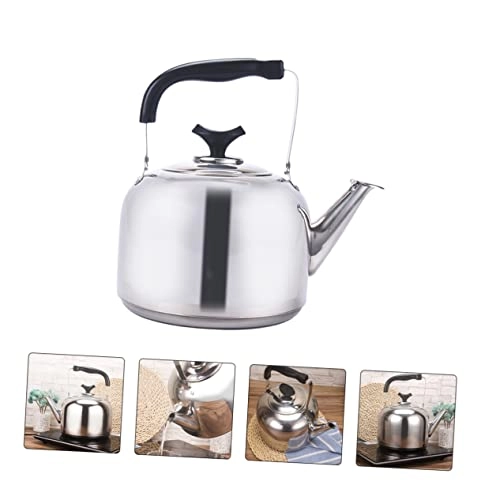 Stainless Steel Whistling Electric Kettle