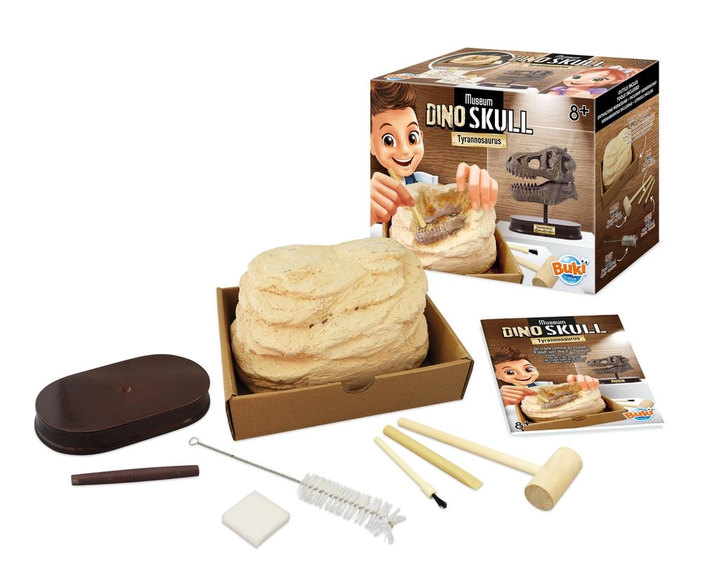 Dino Skull T-Rex Kit - 8 years+