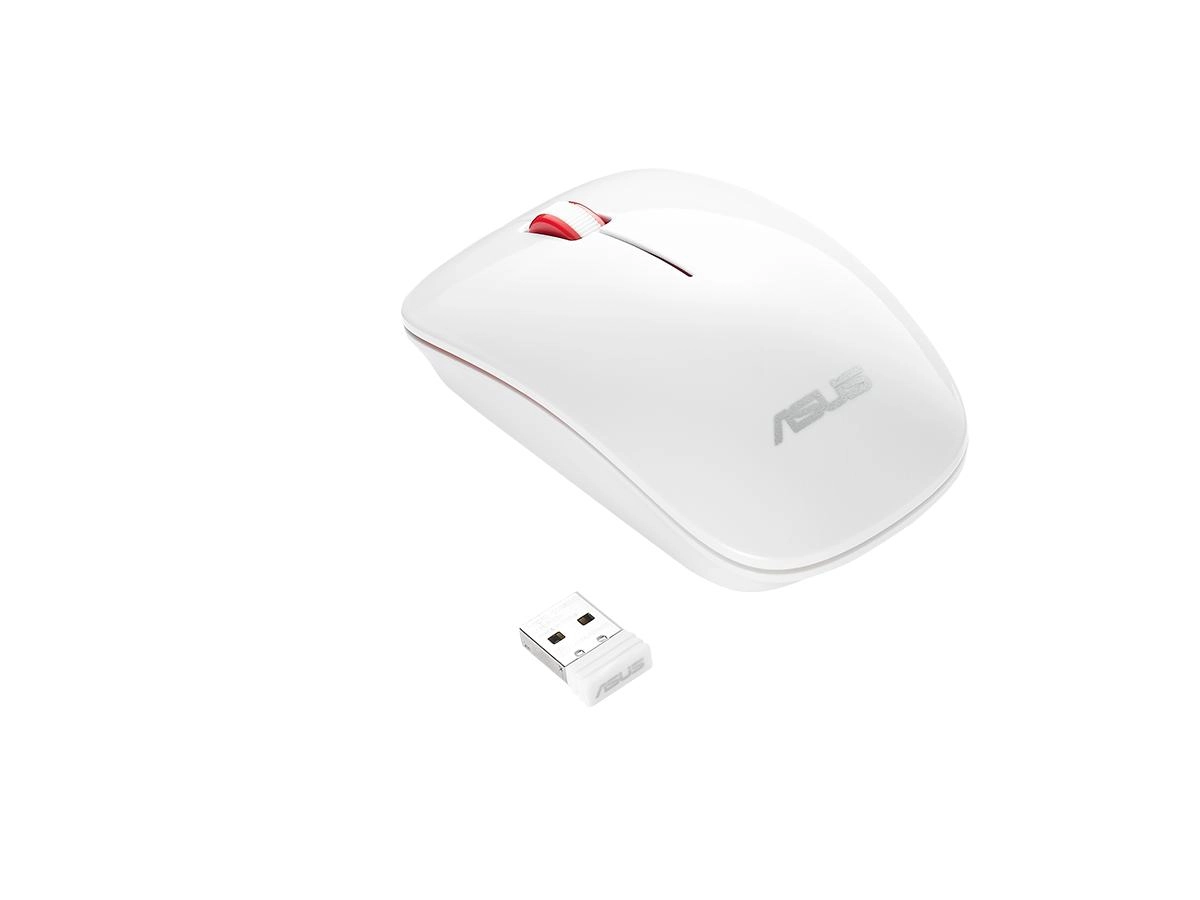 WT300 RF Wireless Mouse - Wireless