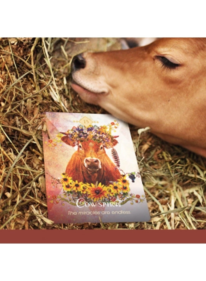 Spirit Animal Wisdom Cards