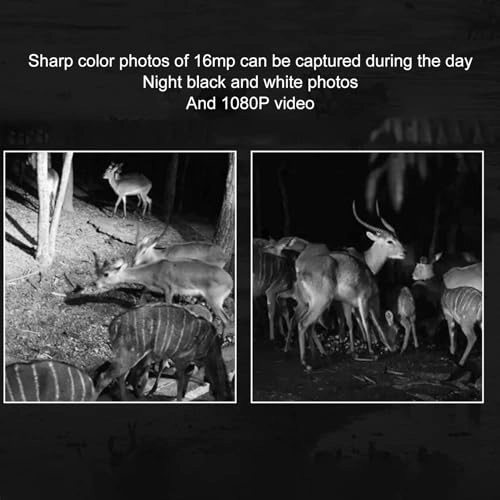 Trail Camera - 16MP
