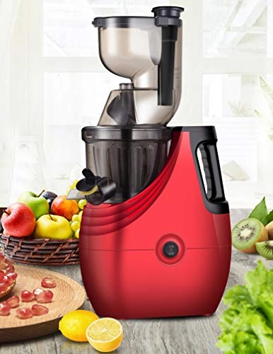 Portable Vertical Cold-Pressed Juicer