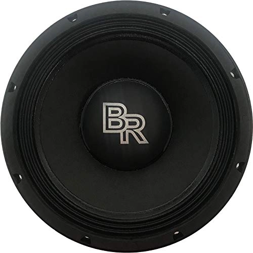 Midrange Speaker - 10 Inch