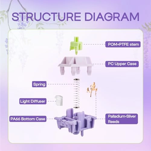 Wisteria V2 - 35 Pieces