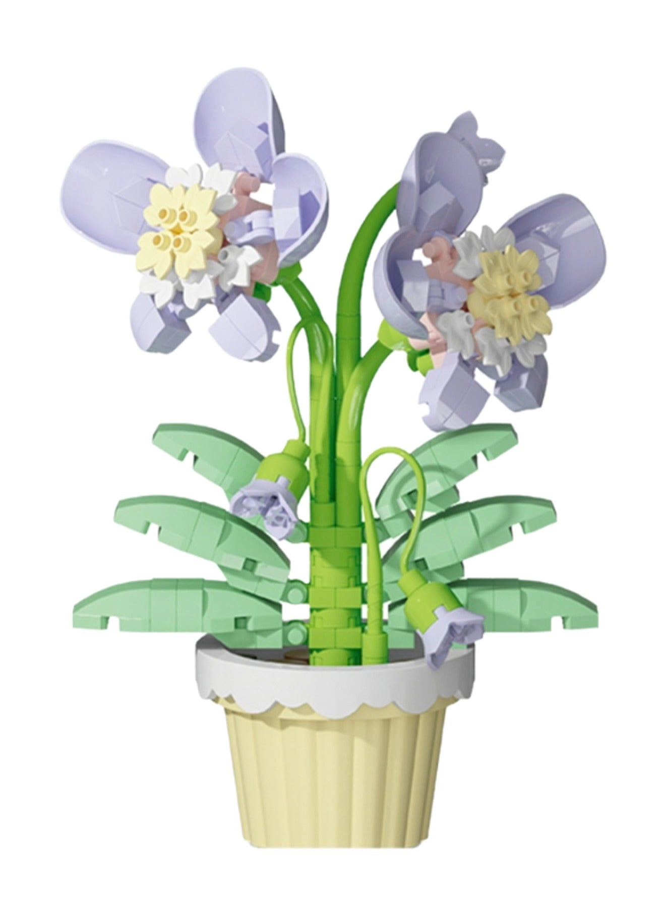 Orchid Potted Plants - 218pcs