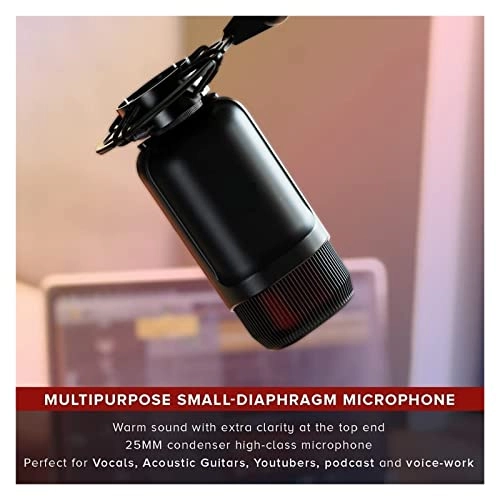 M5 Zone Masterpiece XLR Microphone