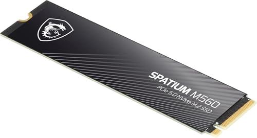 SPATIUM M560 - 1TB