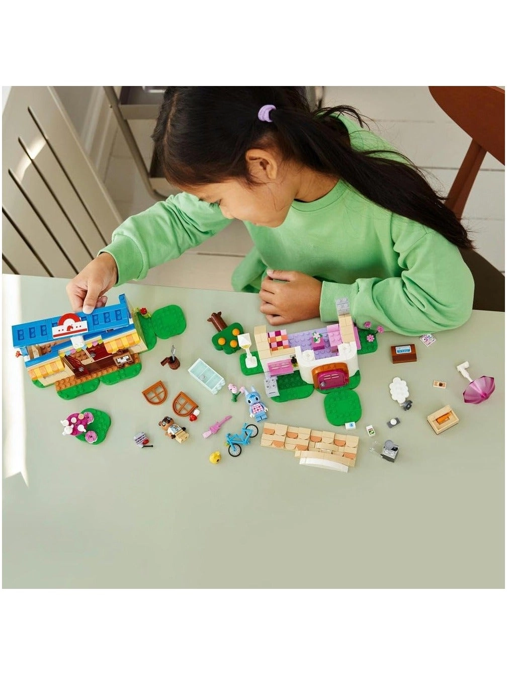 Animal Crossing Nook’s Cranny & Rosie’s House