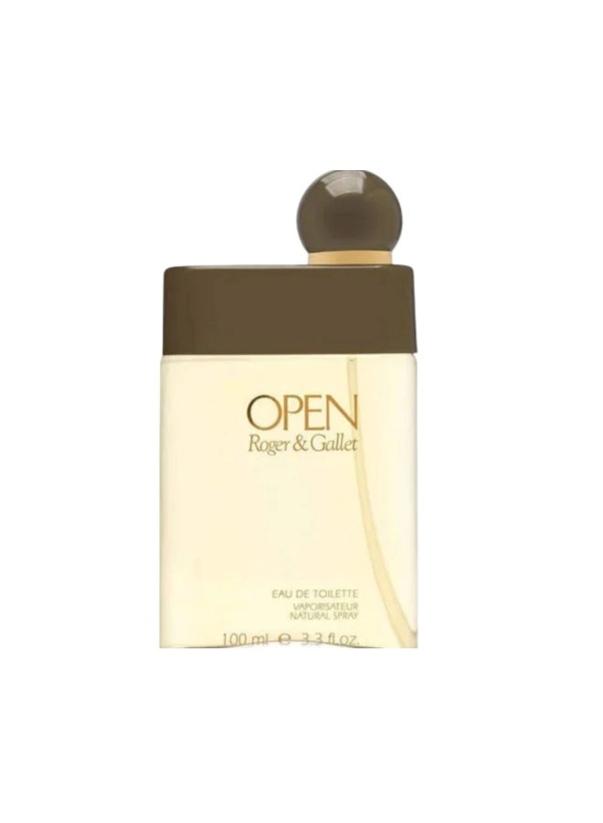Open Gold Eau de Toilette 100 ml