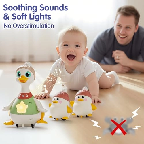 Hola Swinging Ducks - 6-12 Months 3 pieces