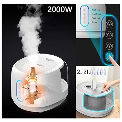 Garment Steamer - 2000W 2.2L 45S Fast Heating