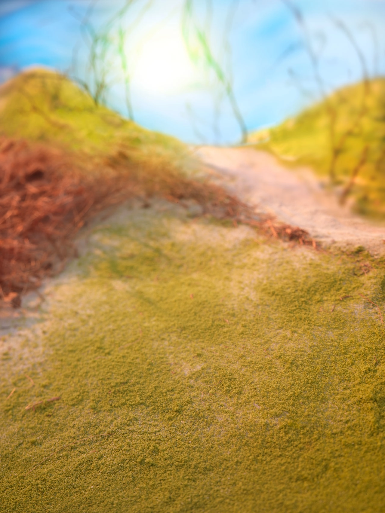 Chicken Shuffle Junior