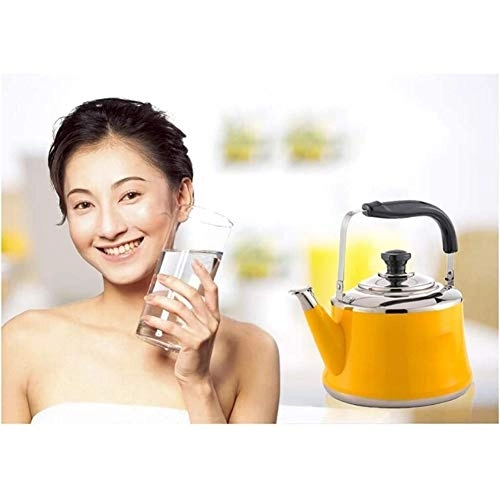 Whistling Tea Kettle - 304 stainless steel 1.5L
