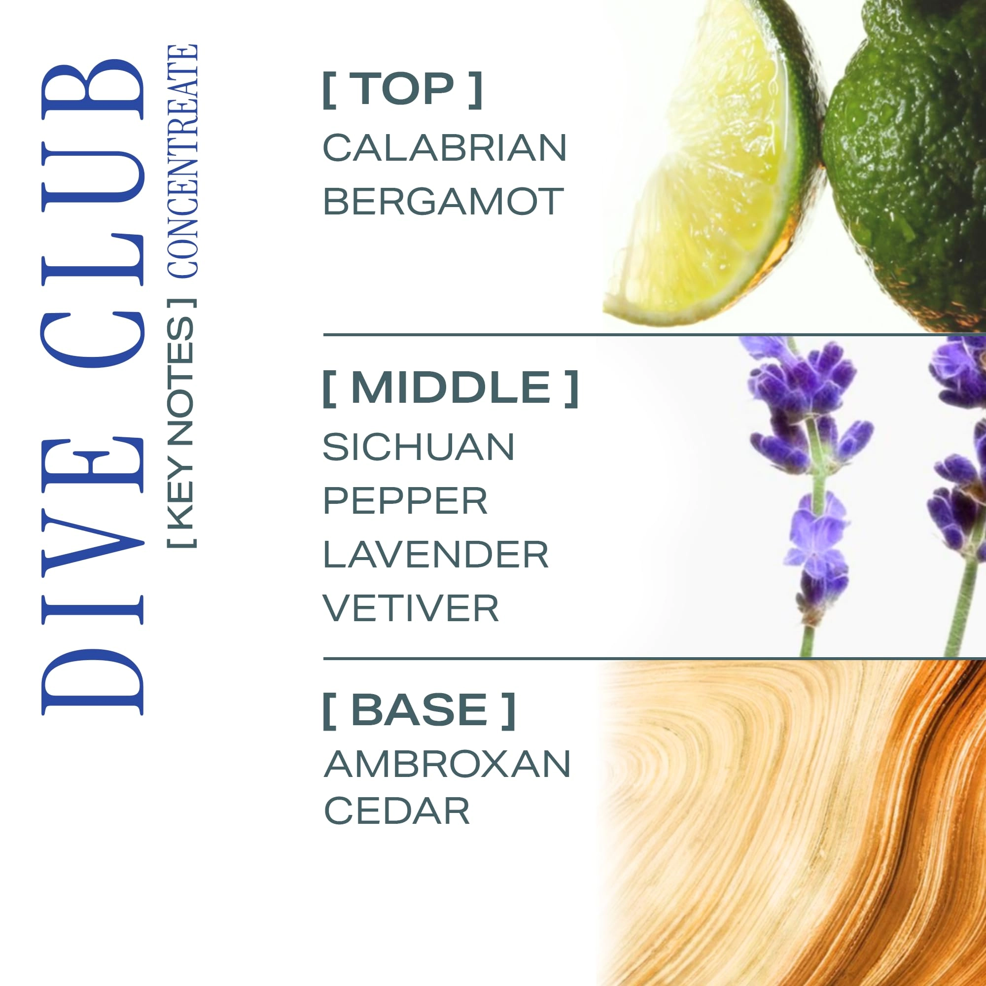 Dive Club Eau de Parfum 5 ml