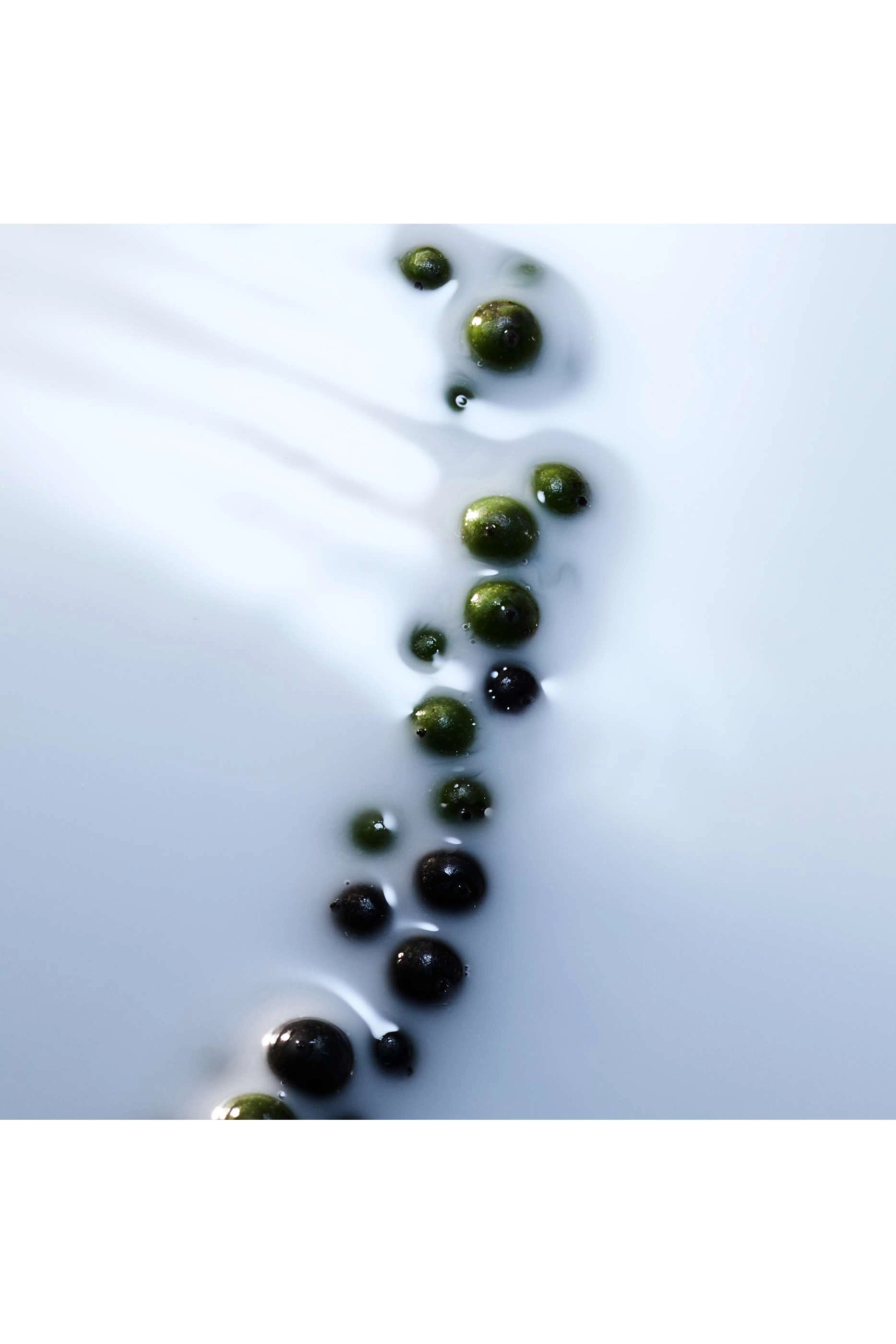 Blanche Absolu Eau de Parfum 50ml