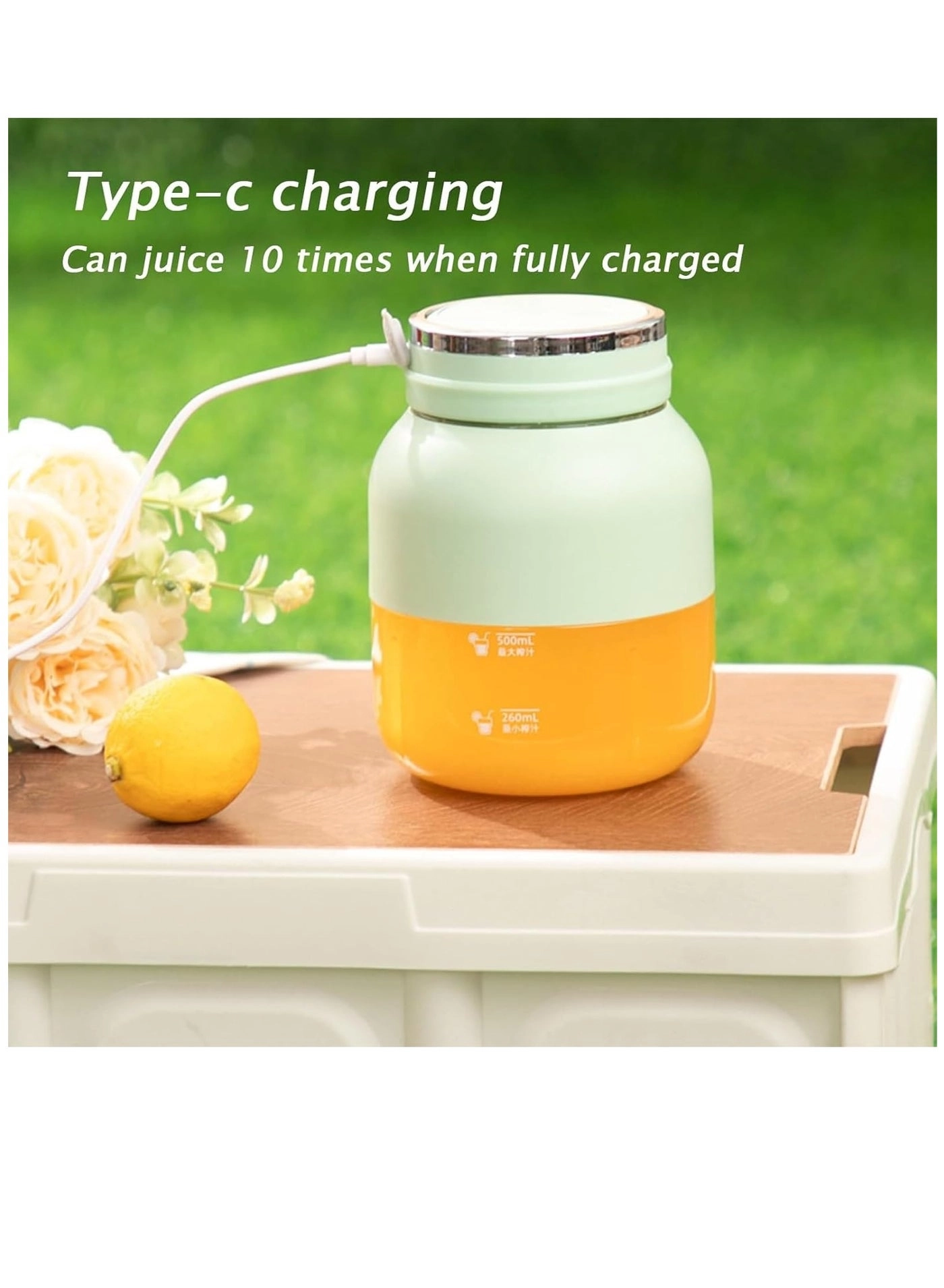 SG3009 - Portable rechargeable 10-blade 2-in-1 juicer