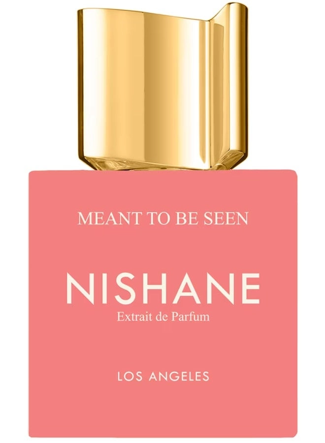 Nishane Meant to be Seen Eau de Parfum - 100ml