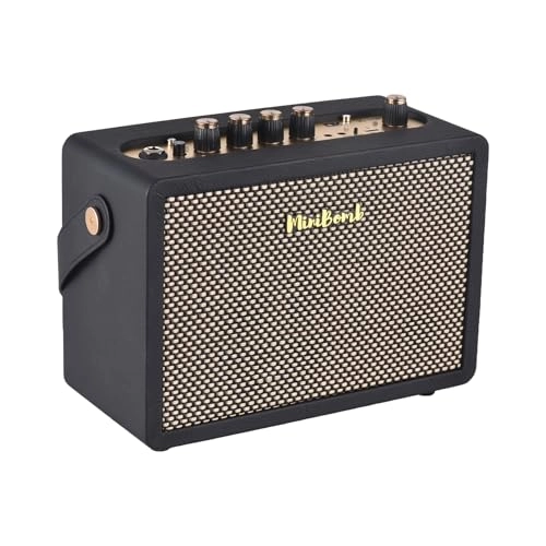 Electric Guitar Amp - 10W 3-inch Speaker Built-In Reverb Delay