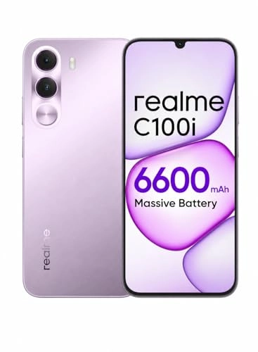 C100 - 4 GB 256 GB