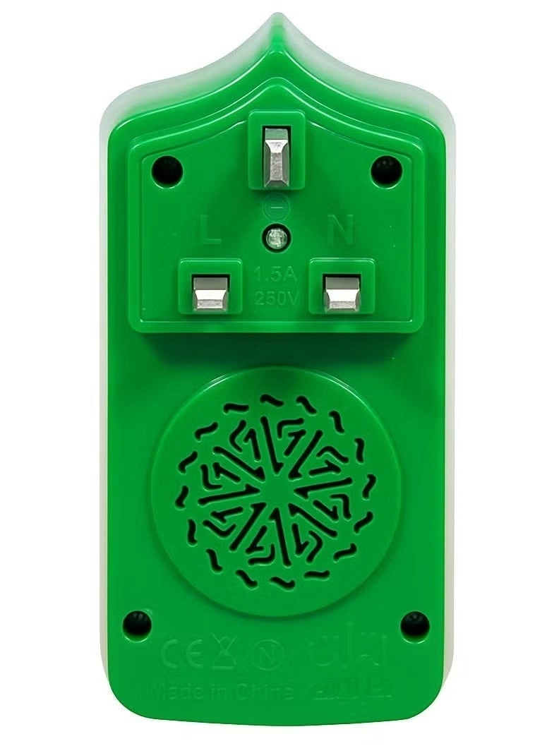 Electric Quran Plug