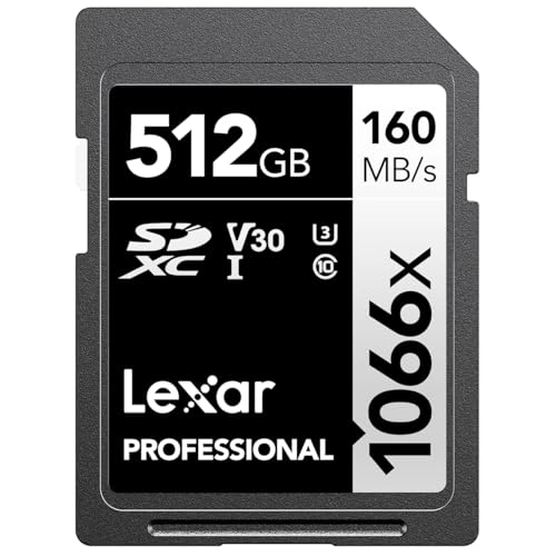 Professional 1066X - 512GB