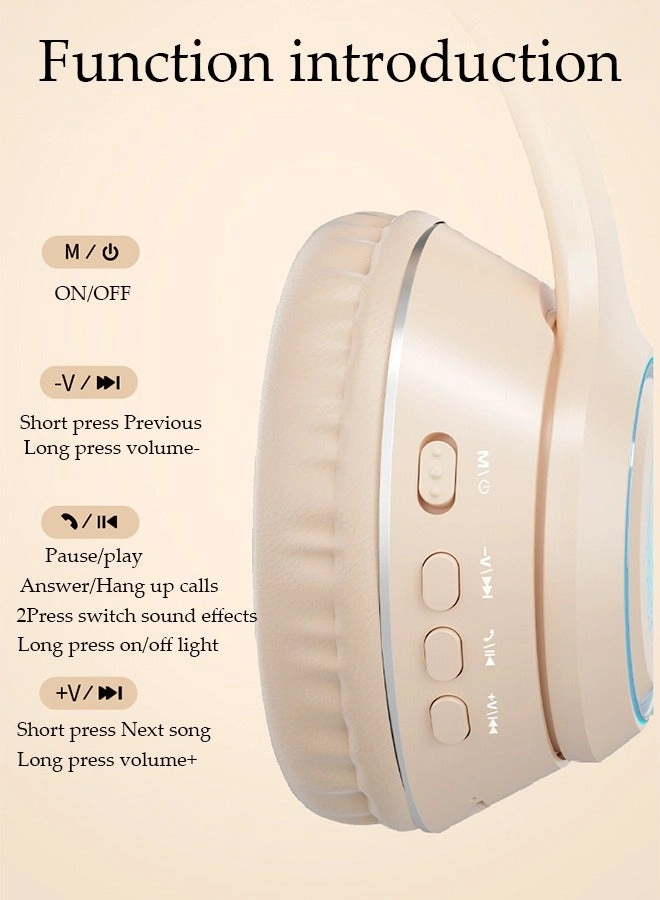 DU3451 Wireless Headphone