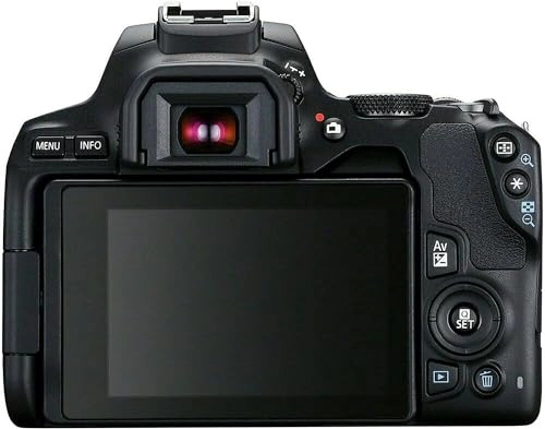 250D