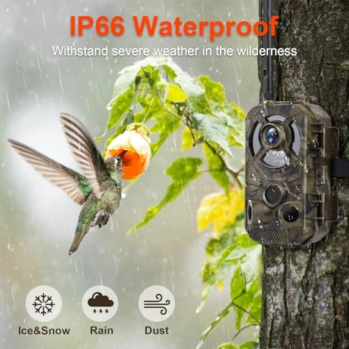 D301W - 48 megapixel