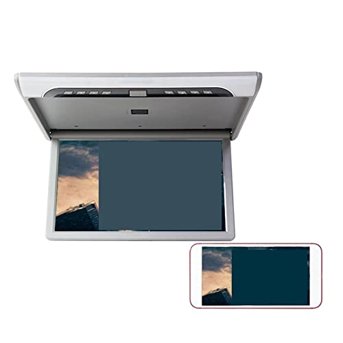 Car Screen - 19 inch