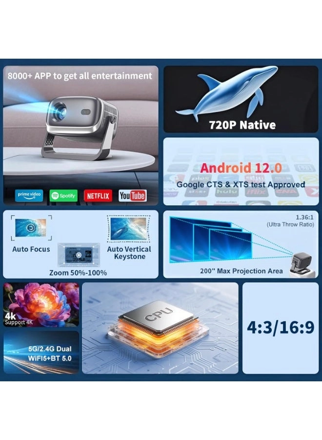 Projector - 250 ANSI lumens 720P