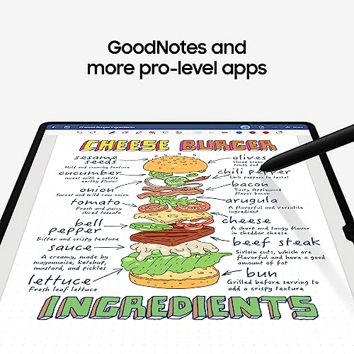 Galaxy Tab S9 - 256GB 11"