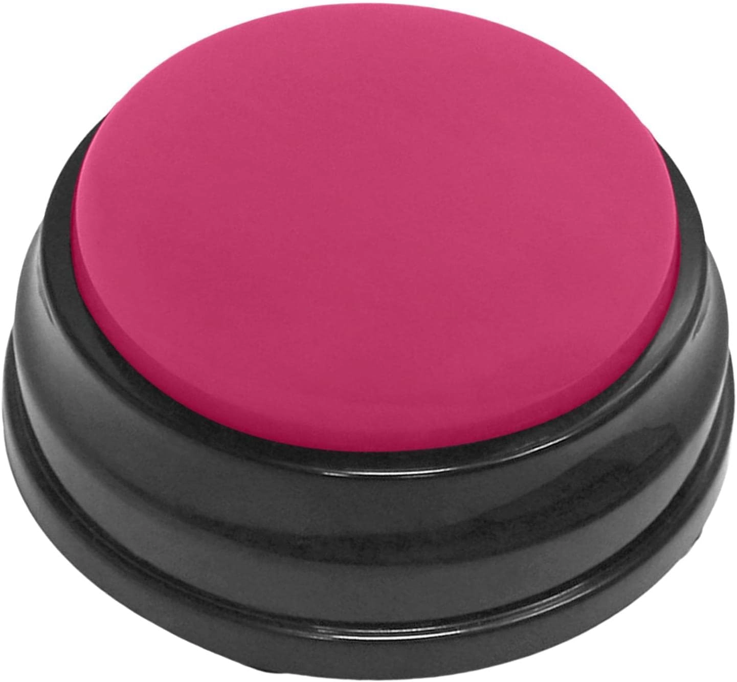 Recordable Sound Button - Puppy Kitten