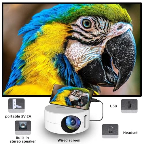 Mini Projector 10 ANSI 320 * 180