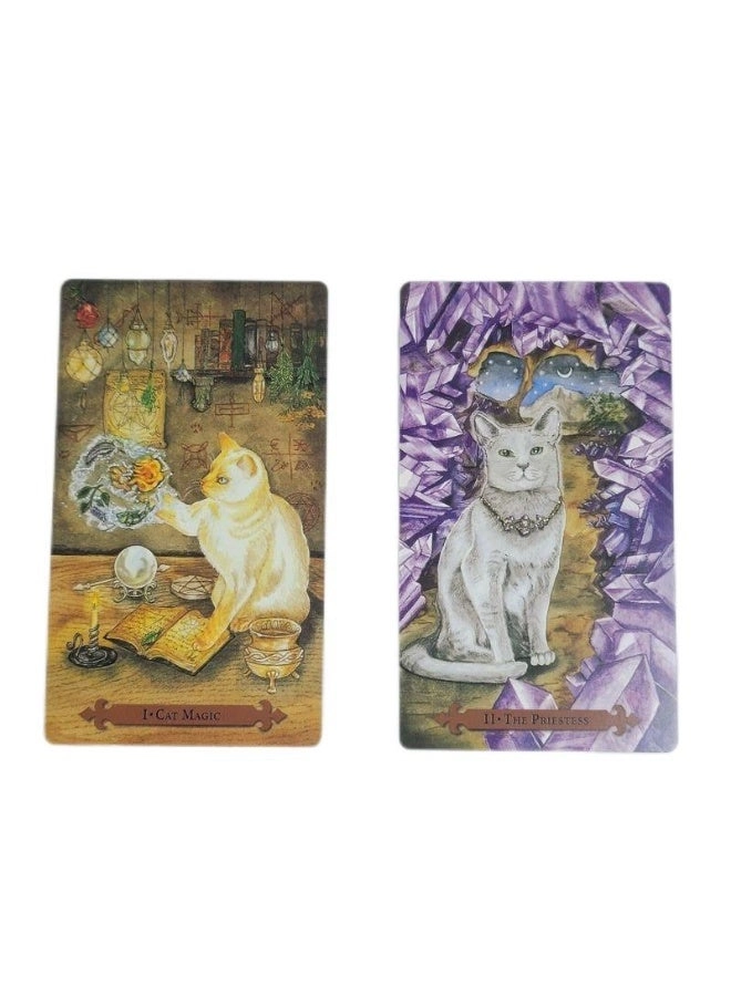 Teddy Tarot