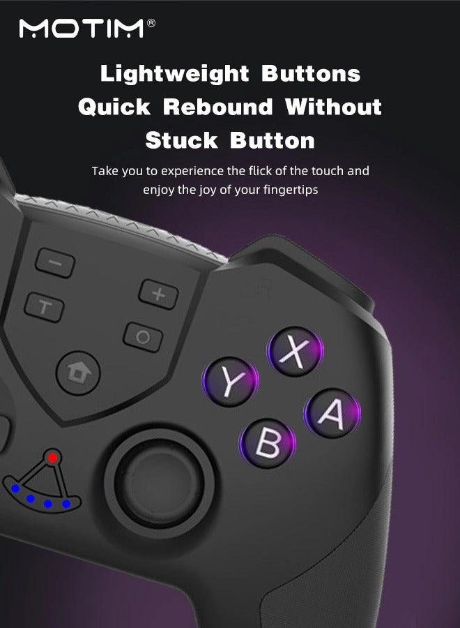 6-Axis Handle Controllers - Black Nintendo Switch